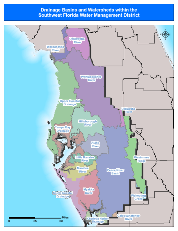Title: Figure 4:  Southwest Florida Water Management District -- “Drainage Basins and Watersheds within the Southwest Florida Water Management District (October 1, 2013)”   - Description: Figure 4:  Southwest Florida Water Management District -- “Drainage Basins and Watersheds within the Southwest Florida Water Management District (October 1, 2013)”  